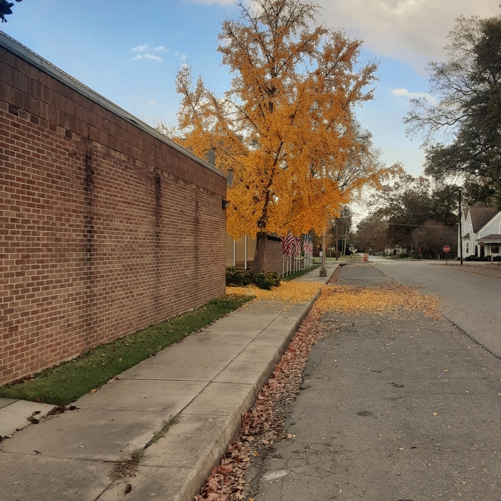 Meet your Posher, Steve